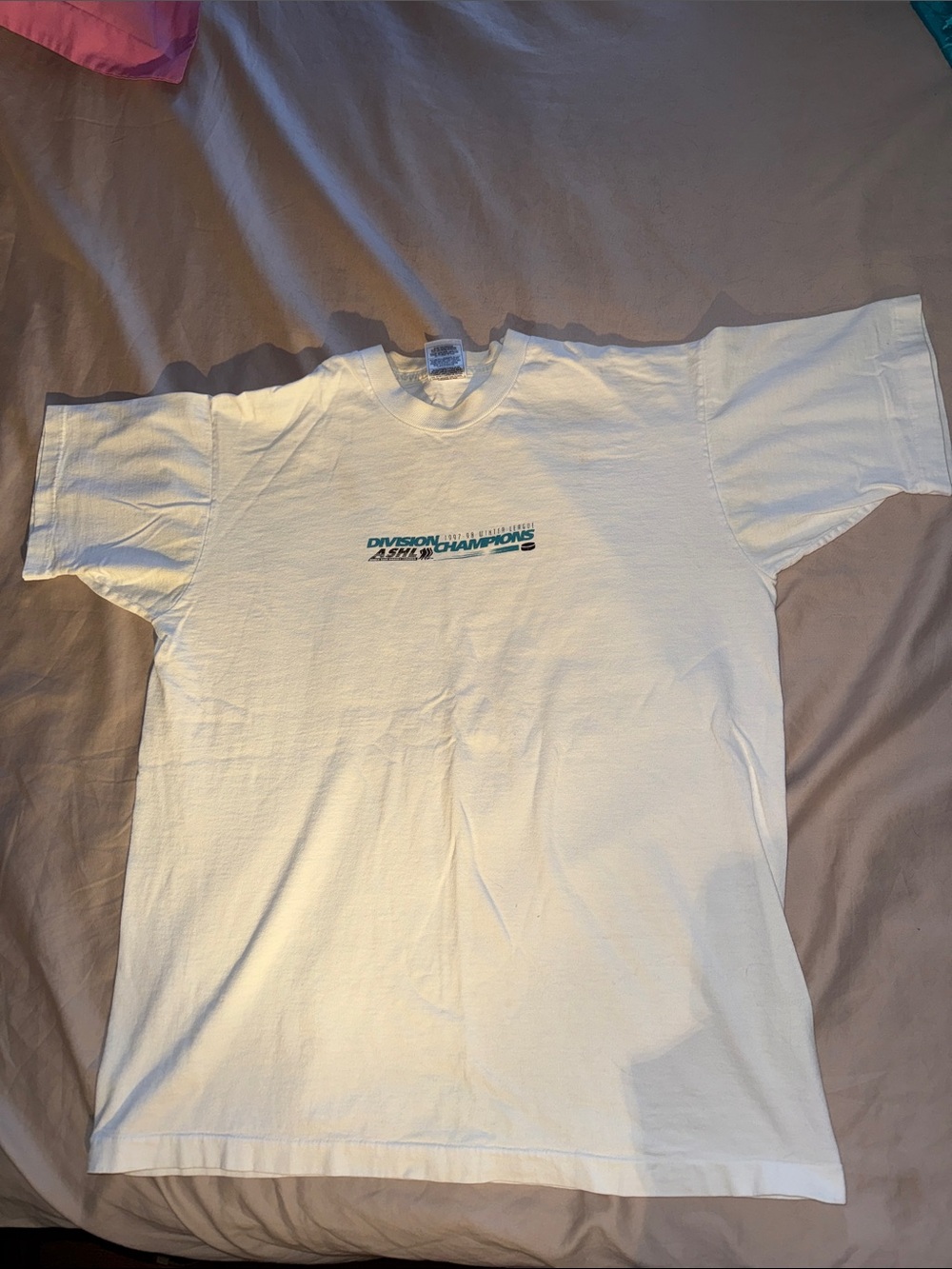 Hanes White Short Sleeve T-Shirt with Teal 'Division Champions' Graphic